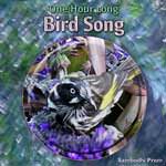 One Hour Long Bird Song