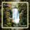 Reiki Forest cd cover